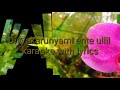 Divyakarunyamai ente ullil karaoke with lyrics Mp3 Song