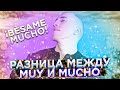 Разница между muy и mucho | Испанский язык