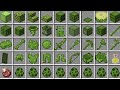 Minecraft The Cactus Mod - Her Şey Kaktüs