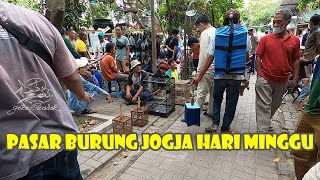 PASAR PASTY HARI MINGGU FULL WISATAWAN DAN BAKUL