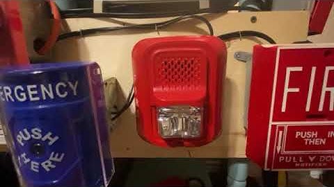 System Sensor P2RL L-Series Horn Strobe Fire Alarm Test