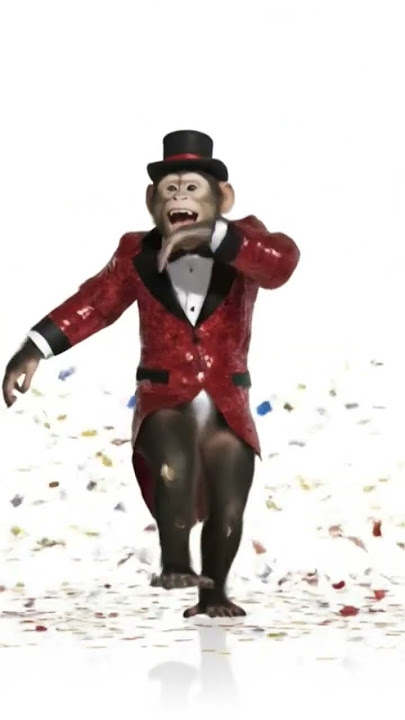 DANCING 👙🩰 MONKEY