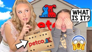 I ADOPTED TWO NEW PETS?! 😱 SURPRISING KALLI WITH THE BIG NEWS 🤫🥳 screenshot 5
