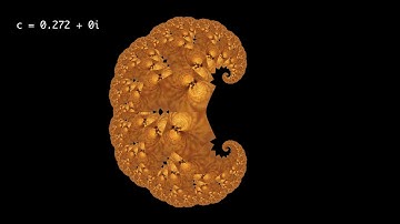 Orbit trap fractal animation - degree variation from one to two