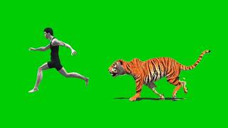 tiger running green screen affect | man running green screenshot | green screen affects #greenscreen