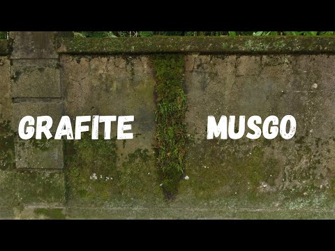 Vídeo: Moss Graffiti Art - Informações sobre graffiti usando musgo