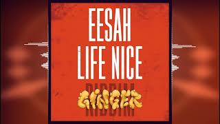 Download Lagu Eesah - Life Nice [Ginger Riddim by Silly Walks Discotheque] Release 22023 MP3