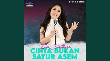Cinta Bukan Sayur Asem (Disco Remix)