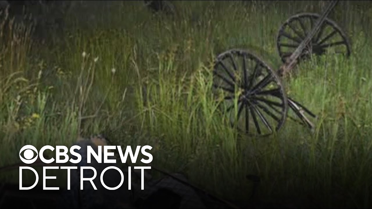 Livonia man arrested in alleged drunk driving crash with Amish buggy ...