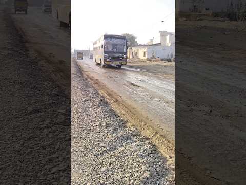 sr*luxury*bus #shorts #shortsvideo