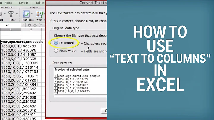 How To Use "Text To Columns" In Excel