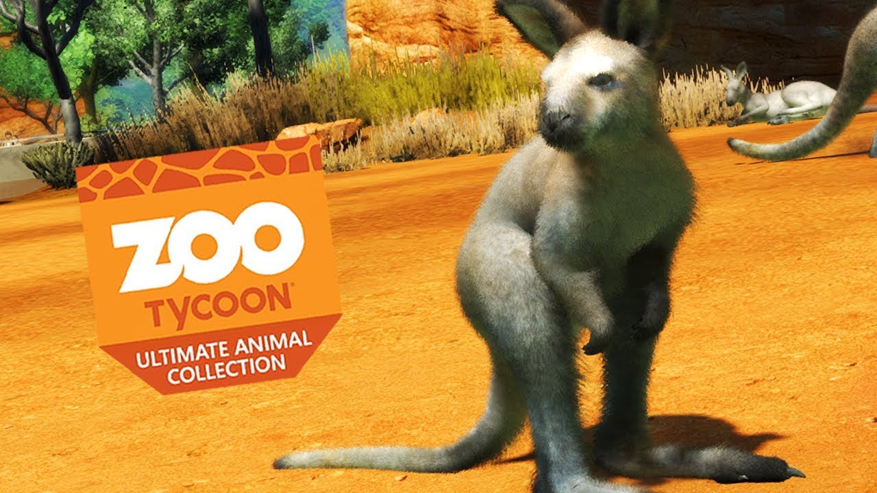 BABY KANGAROO! | Zoo Tycoon : Ultimate Animal Collection #15 - YouTube