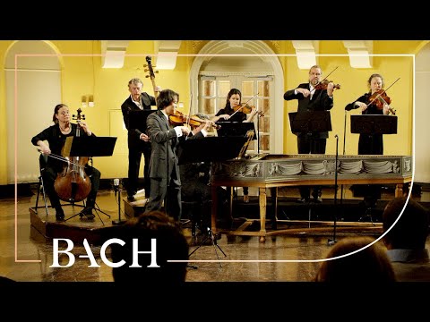 Vídeo: Longas Locais de Concertos