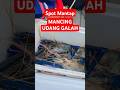 Mancing udang galah