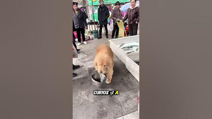 This dog saved a fish's life ❤️