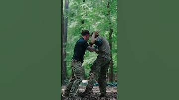 Can You Still Fight?