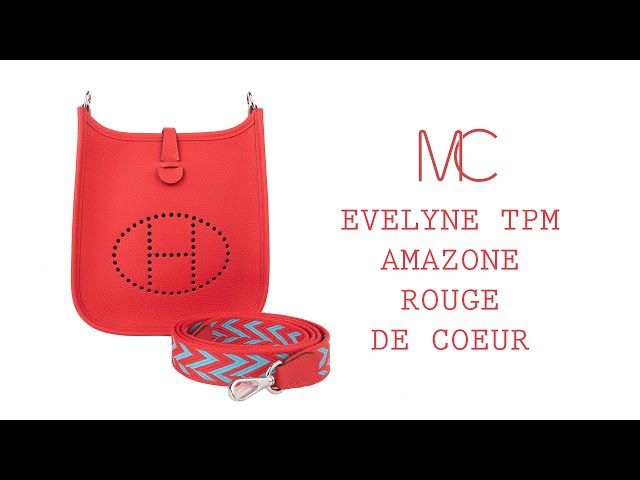 Hermes Evelyn TPM Rose Jaipur