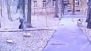 Москвич избил кормившую кошек пенсионерку и попал на видео Москвич избил кормившую кошек пенсионерку и попал на видео
