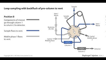 Loop sampling with backflush of pre column to vent with a diaphragm valve