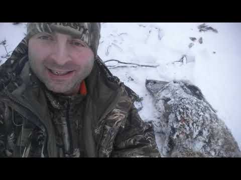 ვასო vs ტახი თურქეთი