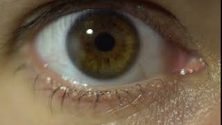 Blue Eye Extreme Close-Up Of Iris And Pupil Dilating And Contracting. Very Finely Detailed Female
