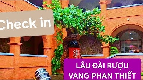 Hầm Rượu Vang Phan Thiết – Điểm Đến Lý Tưởng Cho Những Tín Đồ Yêu Rượu Vang