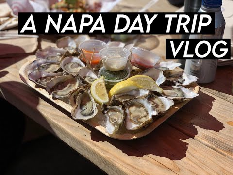 A Napa Day Trip | VLOG | Quintessa