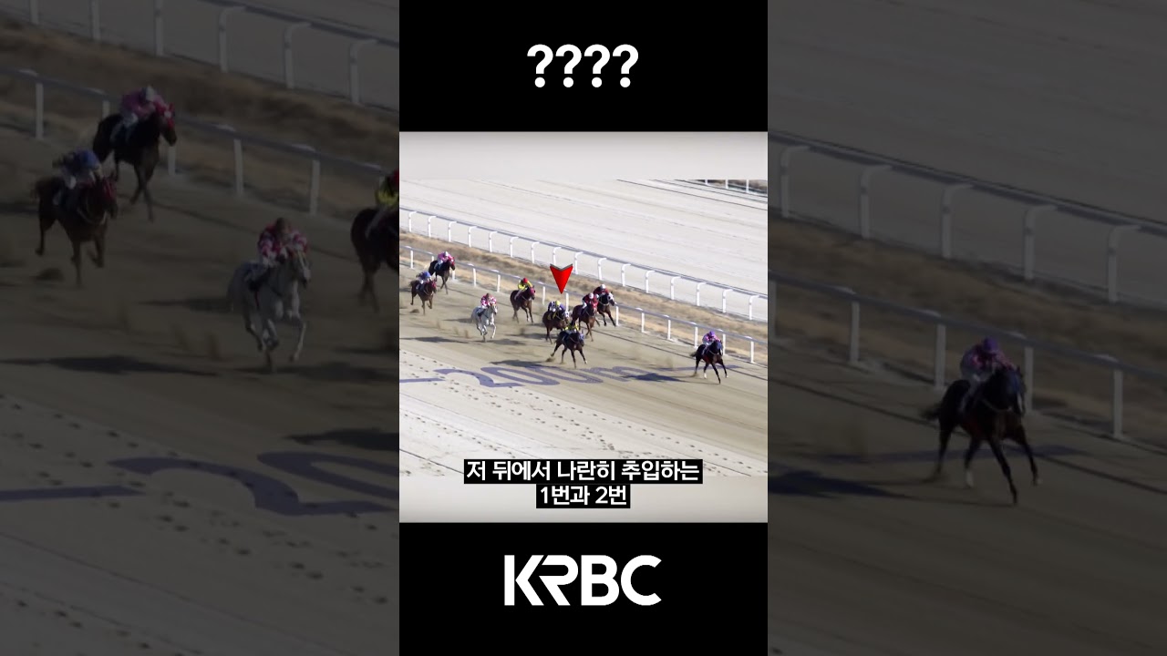 ???? 이게 뭐에요 #shorts #경마방송 #기수 #경주마 #경마 #KoreaHorseRacing #koreahorseracing