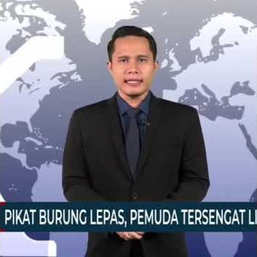 pembawa berita kompas ketawain burung mulu...