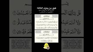 متى تقراء سورة  الكافرون والاخلاص فى الصلاة