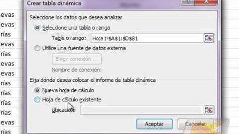 Curso de Excel 2010. Capítulo 16 "Tablas dinámicas" V163-3.wmv