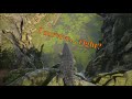 Another Deino vid Because Why not :D | Deinosuchus Gameplay | - The Isle Evrima