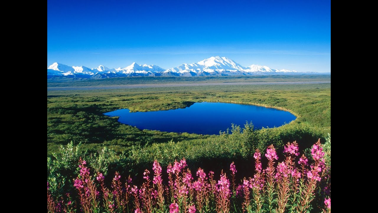 denali national park singles & personals Online personals with photos of single men and women seeking each other for dating, love, and marriage in alaska. denali national park singles & personals Online personals with photos of single men and women seeking each other for dating, love, and marriage in alaska.