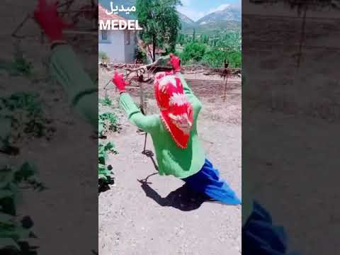 أغرب فزاعة طيور و حيوانات تخيفهم و تمنعهم من الإقتراب من المزروعات و تساهم في حفظها