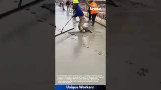 Dog Walks On Wet Concrete Dog Making Paw Prints In Concrete