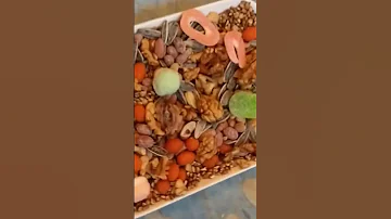 الاحتفال الناير السنة الأمازيغية 