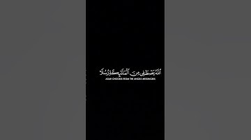 سورة الحج ياسر الدوسري 1425هـ #القرآن_الكريم #قرآن #ياسر_الدوسري