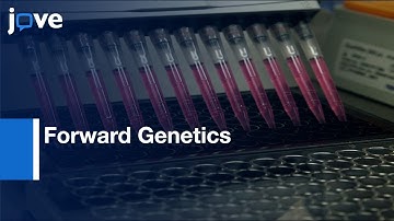 Forward Genetics to Identify Resistant Genes to Autonomous Immunity | Protocol Preview