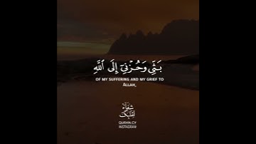 أجمل حالات واتس اب قرآن كريم بصوت احمد النفيس | صوت يريح القلب❤️😴