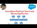 Salesforce Platform Event and Streaming Monitor