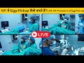 Live ivf procedure of egg pick up hindi   ivf  eggpickup   