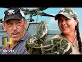 Snake Hunting Strategies and Challenges
