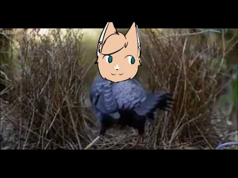 Lemme Smash