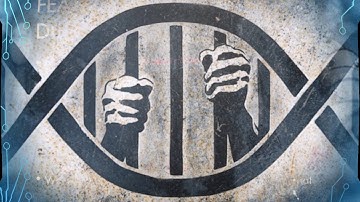 Introduction to Soft Determinism