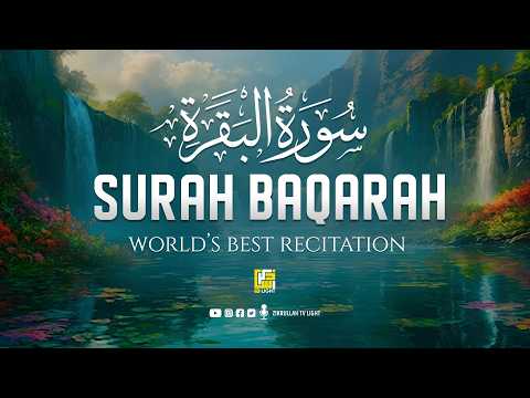 Surah Al-Baqarah Full سورةالبقرة | ULTIMATE Majestic Quran for Deep Relaxation #baqarah