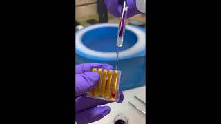 SSRL XAS multisample cassette loading for LHe cryostat