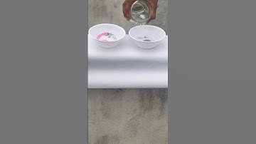 Add Water See Coin | Refraction of light #shorts #science #teacher #class10