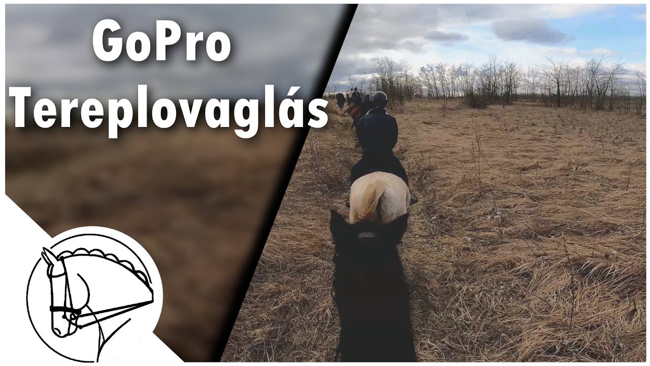 Tereplovaglás a @HaZamLovasudvar -ban!