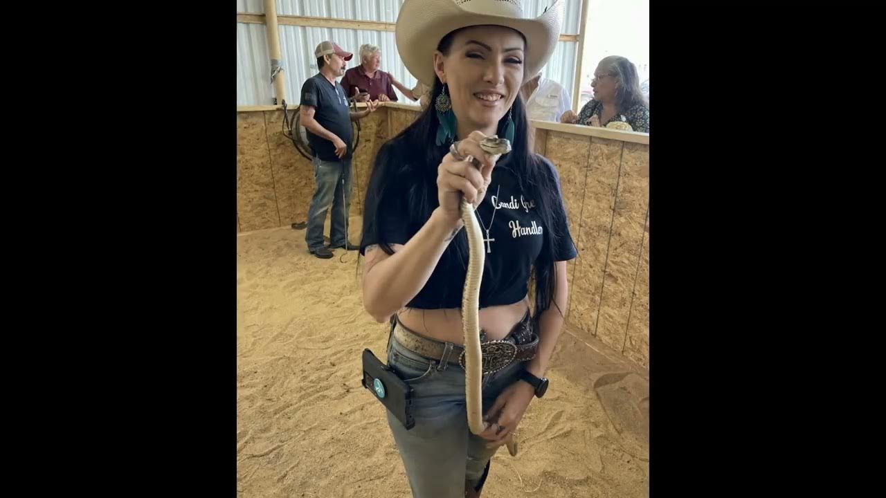 The 58th Annual Freer Rattlesnake Roundup YouTube