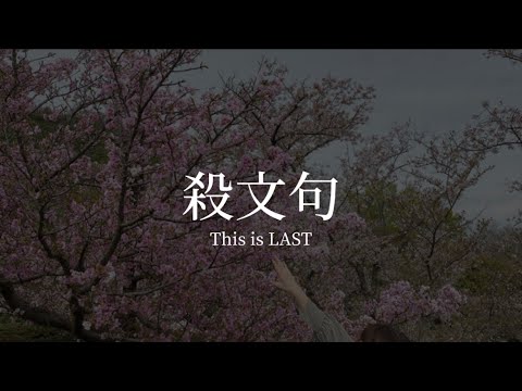 殺文句 / This is LAST (弾き語りcover)